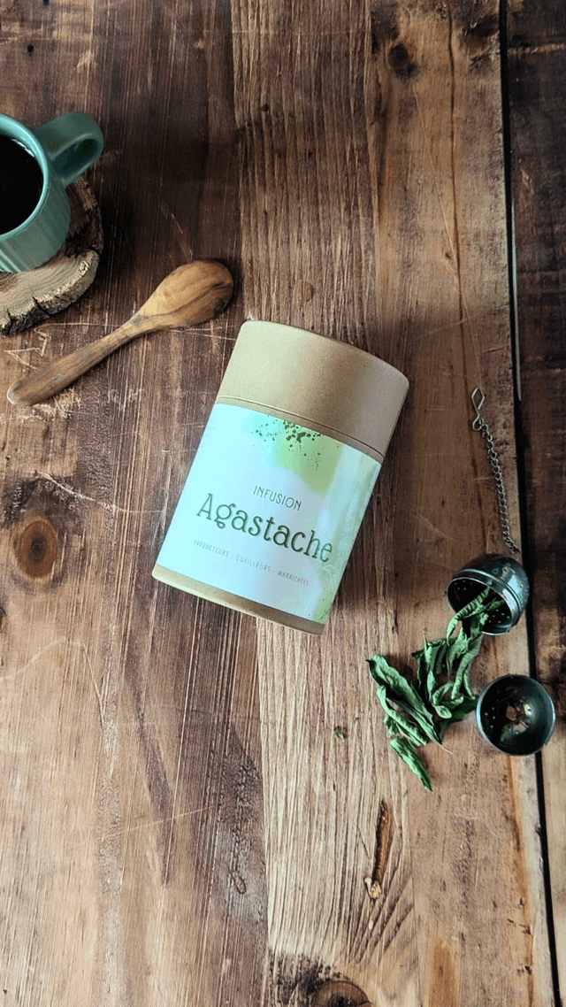 Tisane Agastache