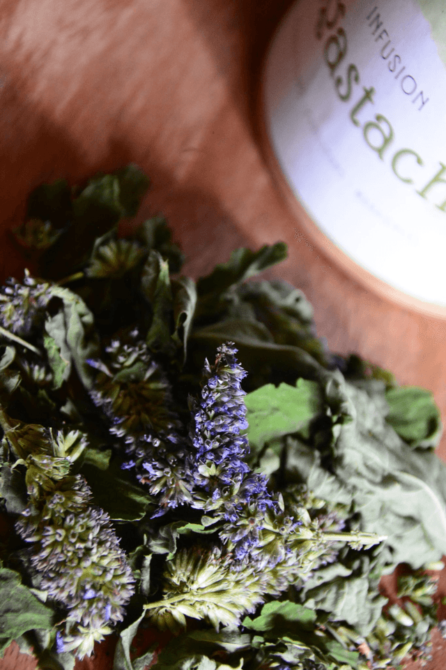 Tisane Agastache