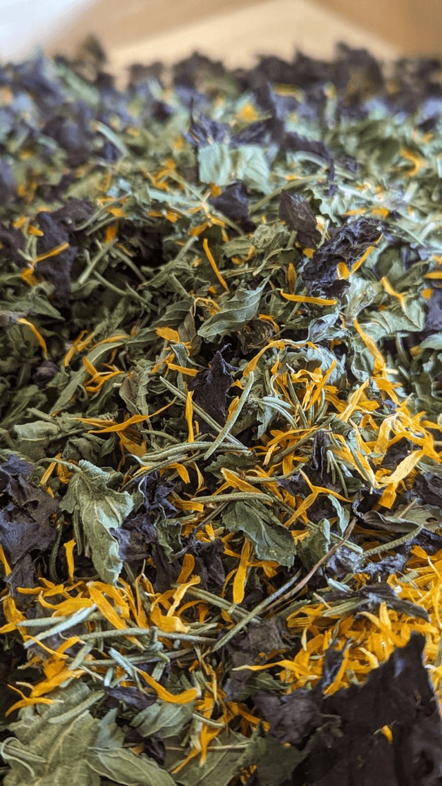 Tisane Détox