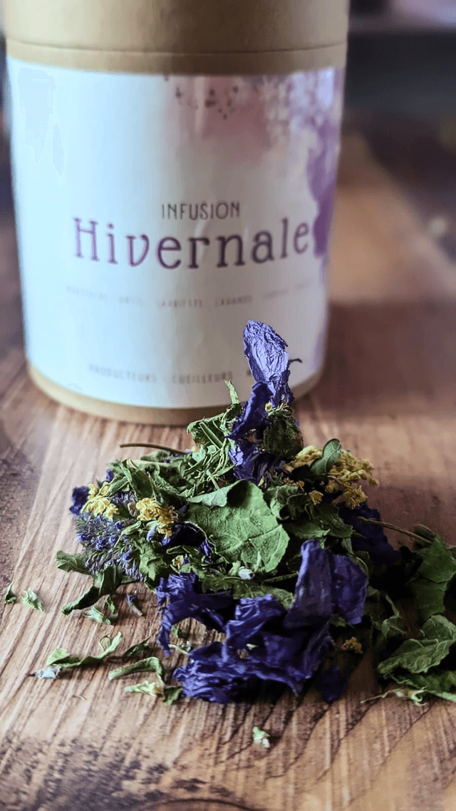 Tisane Hivernale